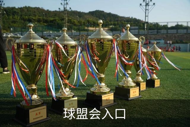 关于球盟会入口